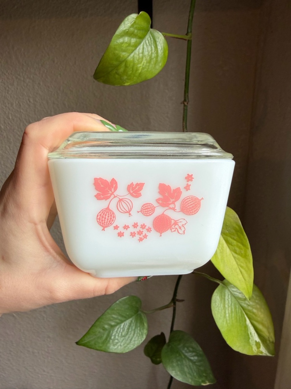 Vintage Pink Gooseberry Pyrex Refrigerator Dish With Lid - Picture 4 of 10
